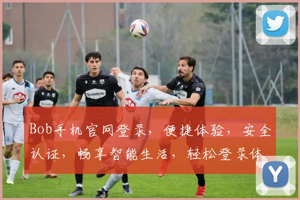 Bob手机官网登录，便捷体验，安全认证，畅享智能生活，轻松登录体验