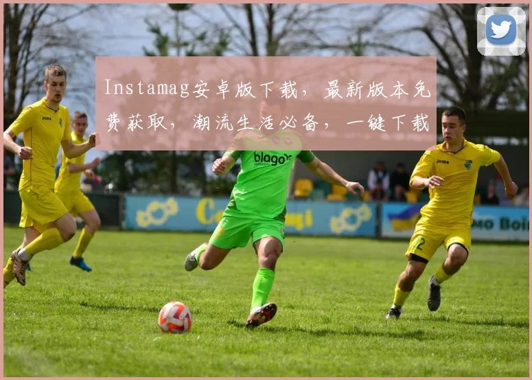 Instamag安卓版下载，最新版本免费获取，潮流生活必备，一键下载