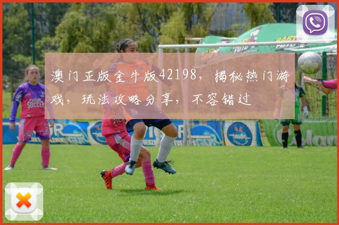 澳门正版金牛版42198，揭秘热门游戏，玩法攻略分享，不容错过