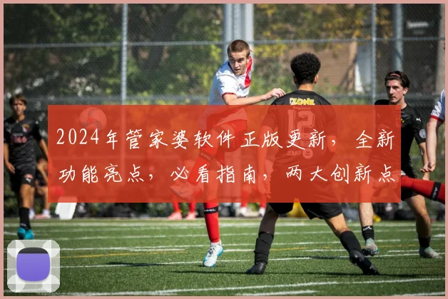 2024年管家婆软件正版更新，全新功能亮点，必看指南，两大创新点大揭秘